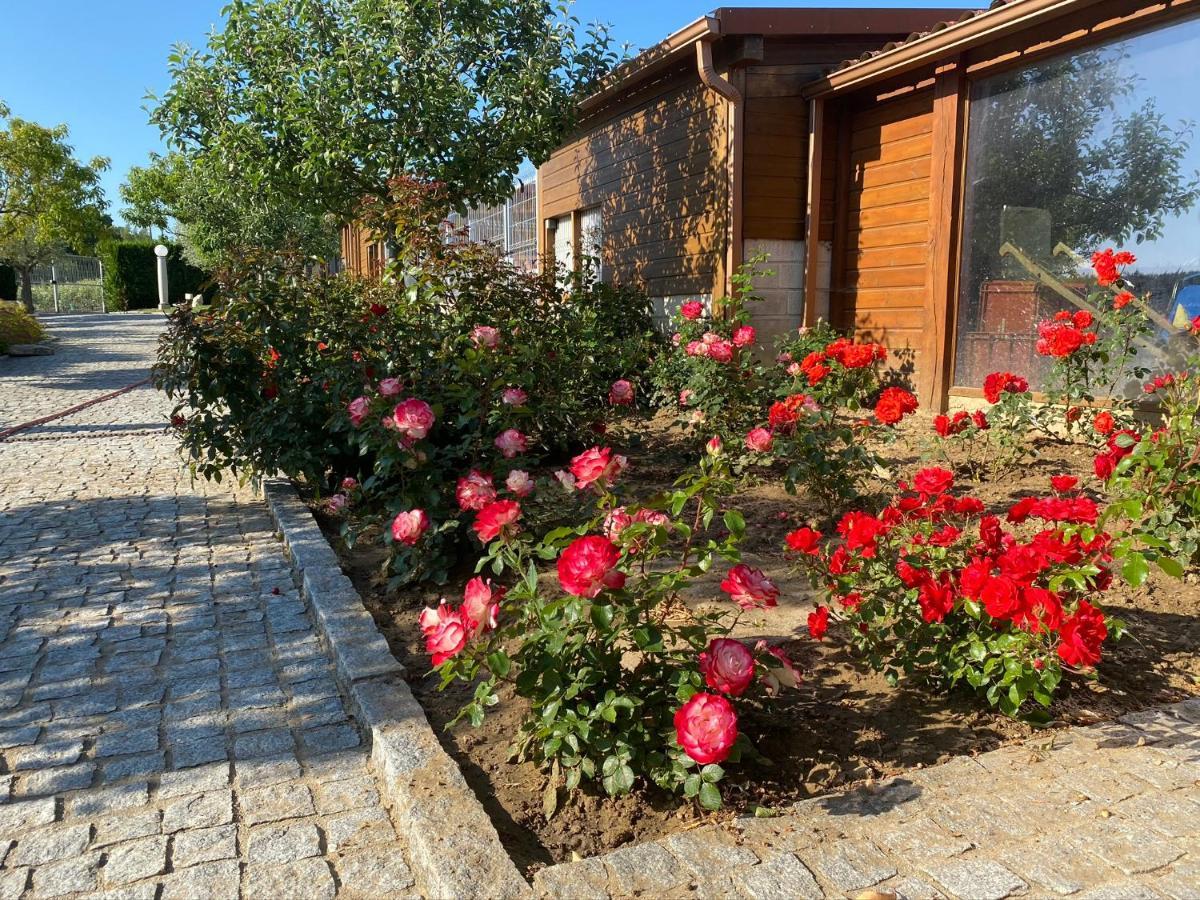 Des Sablons Appartement Châtillon-sur-Marne